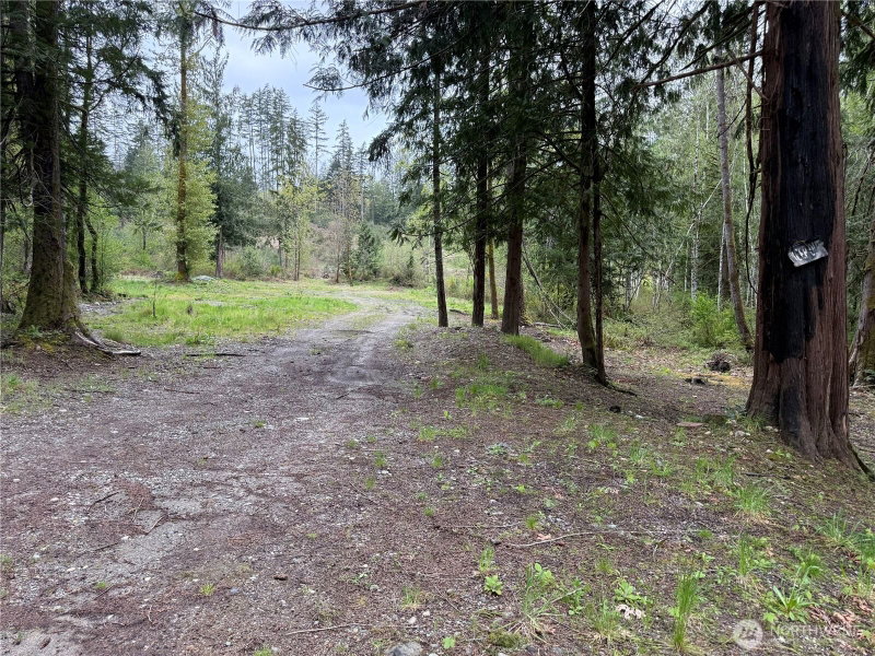 0 SW Spruce Road photo 1