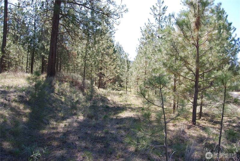 4 Chief Joseph Spur East photo 2