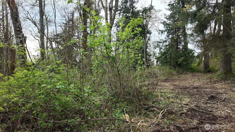 17584 Allen Road photo 20