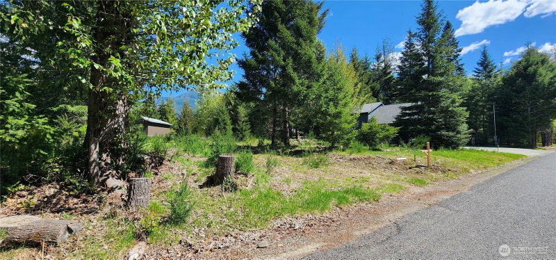 113 Cottonwood Lane photo 2
