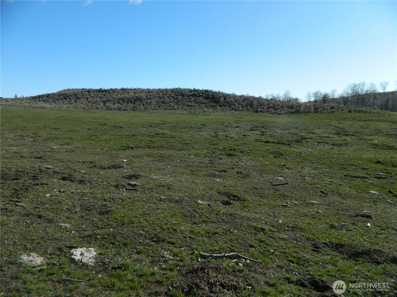 111 TBD Ellemeham Mountain Ridge Road photo 2