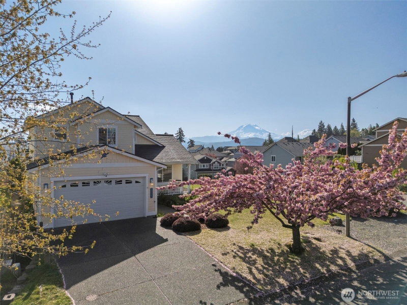 17023 139th Avenue E photo 2