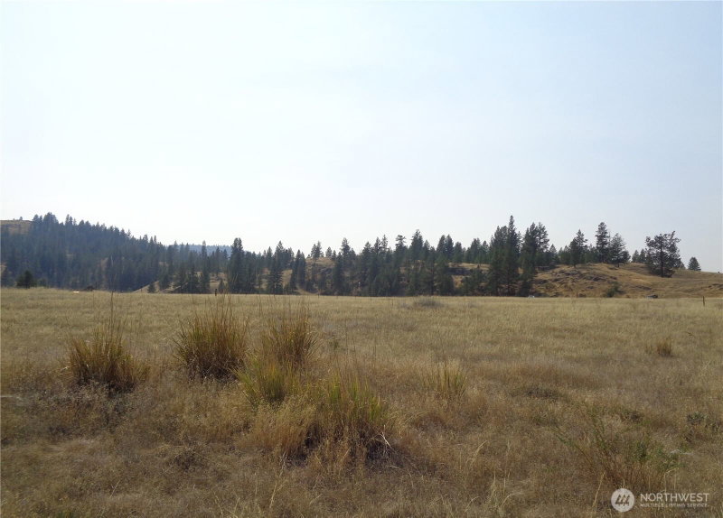 337 Lot Watoka Way photo 2
