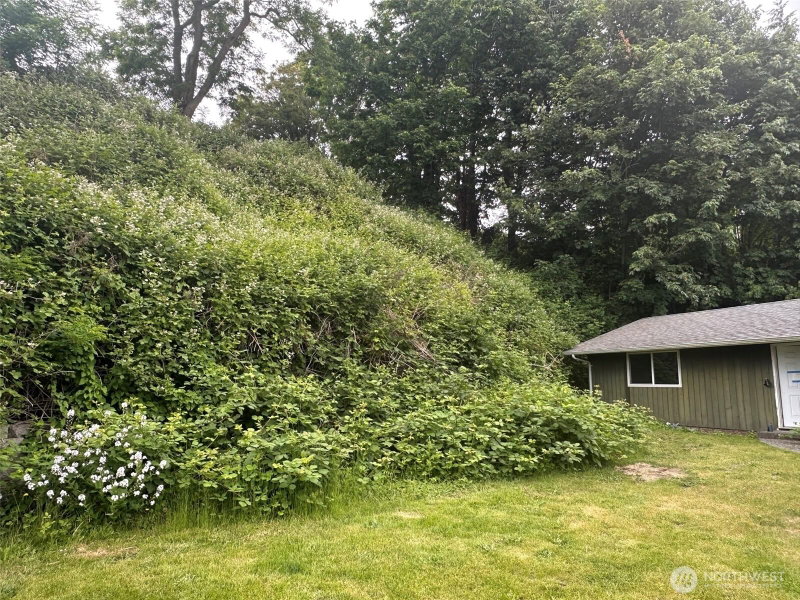 3440 Emma Road photo 2