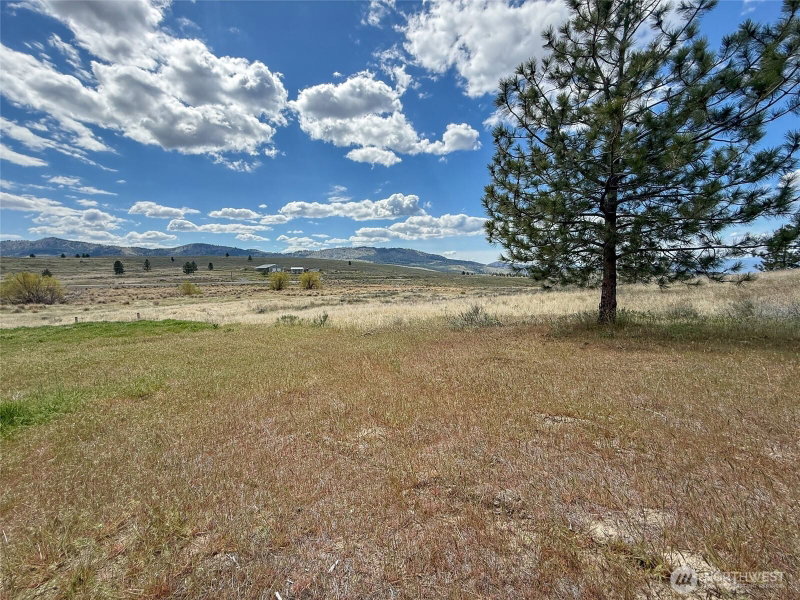 6996 Hwy 155 photo 36