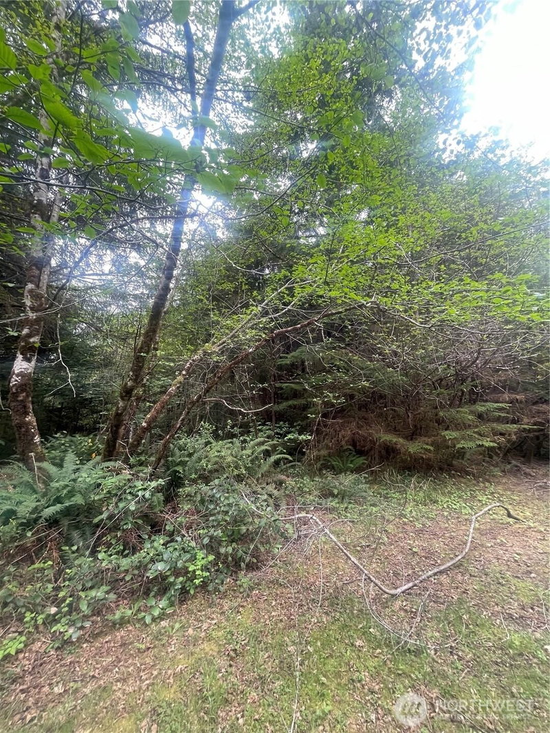 0 Lot 42 Bay Lane photo 2