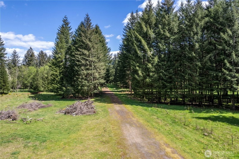 211 Sugarpine Road photo 11