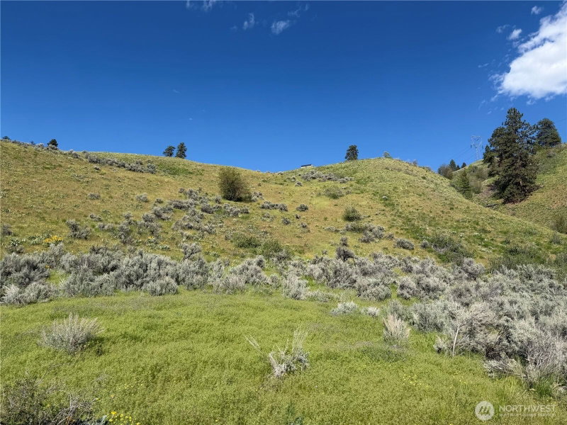 0 Tyee View Loop photo 2