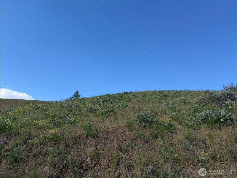 0 Tyee View Loop photo 18