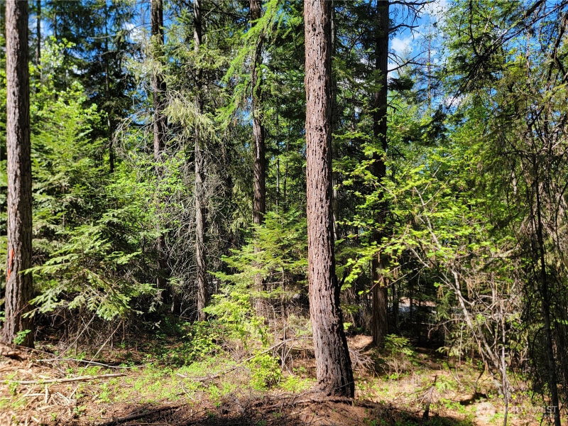 263 Twin Lakes Road photo 2