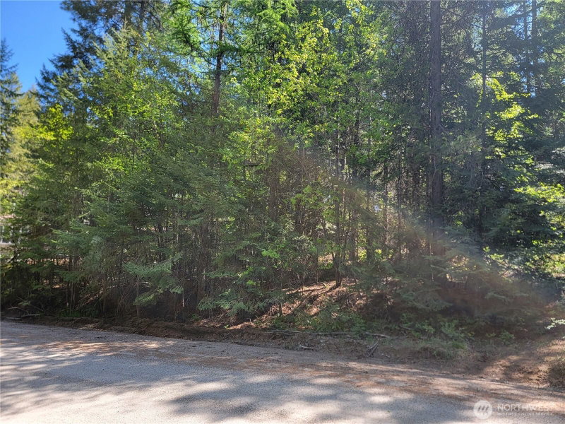 263 Twin Lakes Road photo 11
