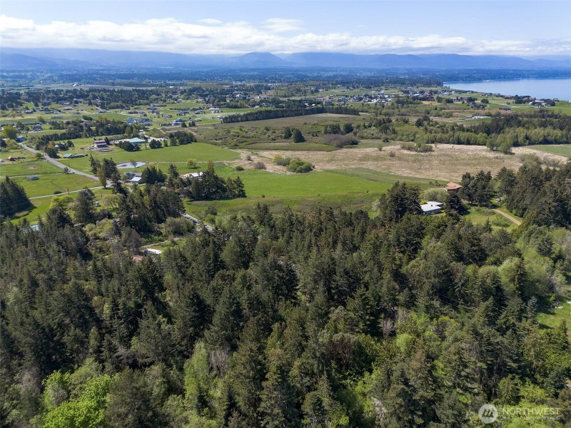 392 Holgerson Road #Lot 3 photo 39