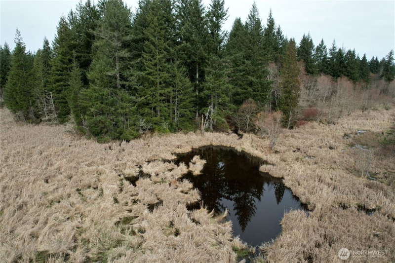 0 40 acres 143rd Avenue SE photo 14