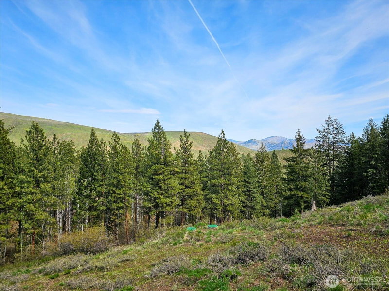 48 Whitebark Lane photo 2