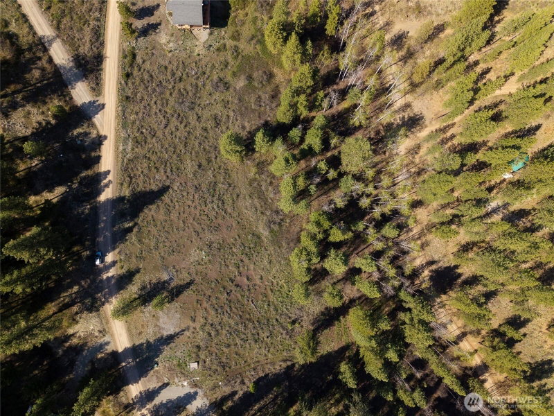 48 Whitebark Lane photo 24