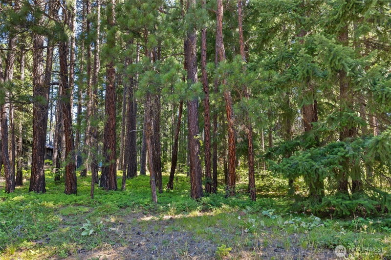 0 Lot 10 S Lake Cabins Road photo 1