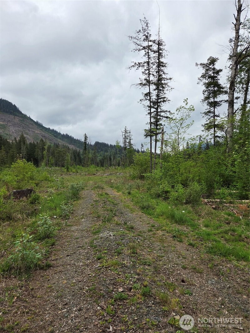 0 WA-547 photo 2