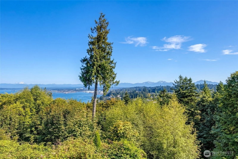 4911 Harbor Lane photo 2