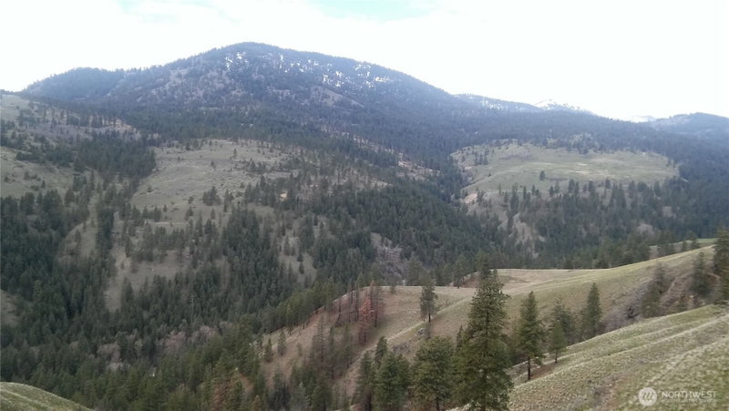 0 TBD N Fork Salmon Creek Road photo 1