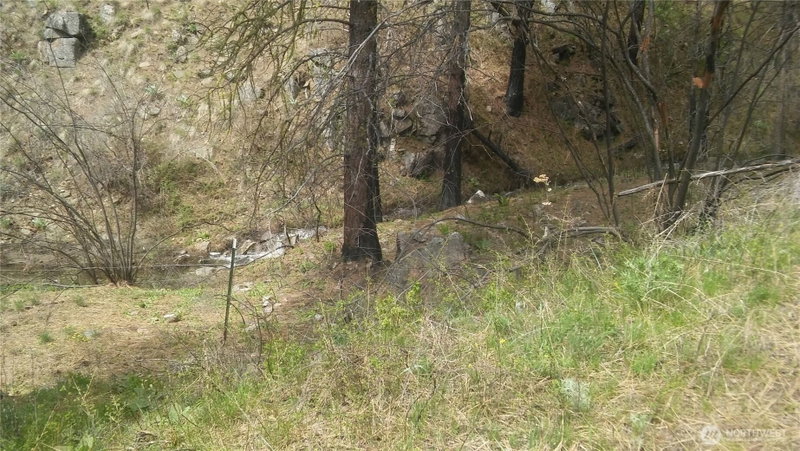 0 TBD N Fork Salmon Creek Road photo 2