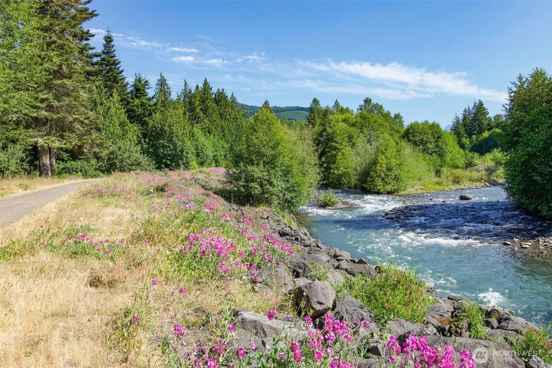370 Dungeness Meadows photo 40
