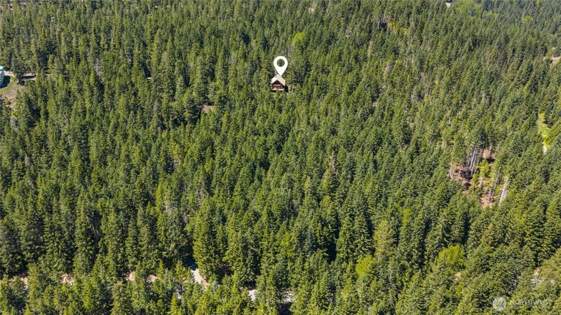 1161 Via Kachess Road photo 38