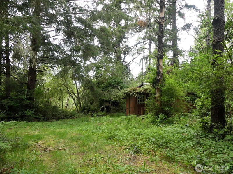 14001 Birch Street photo 1