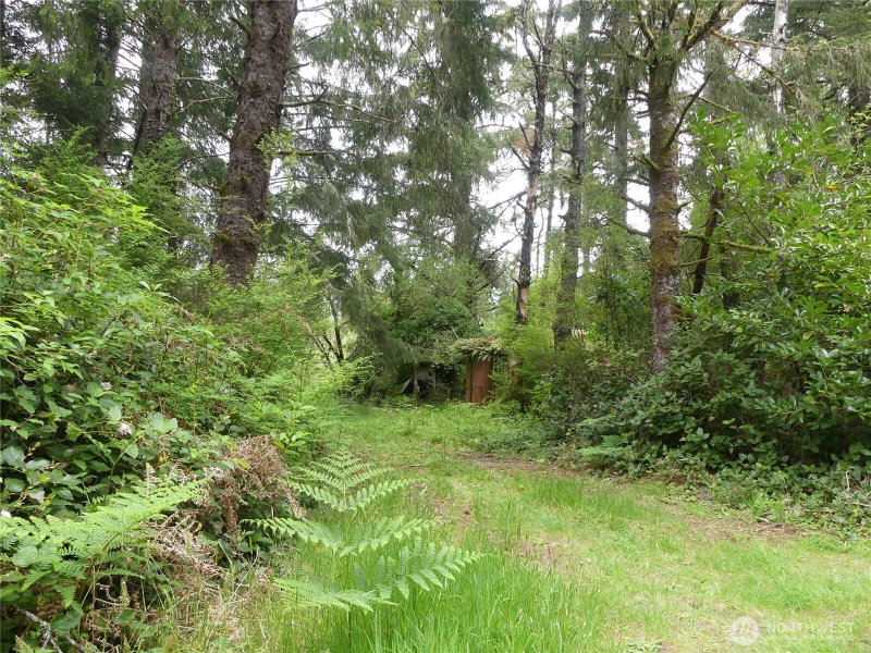 14001 Birch Street photo 2