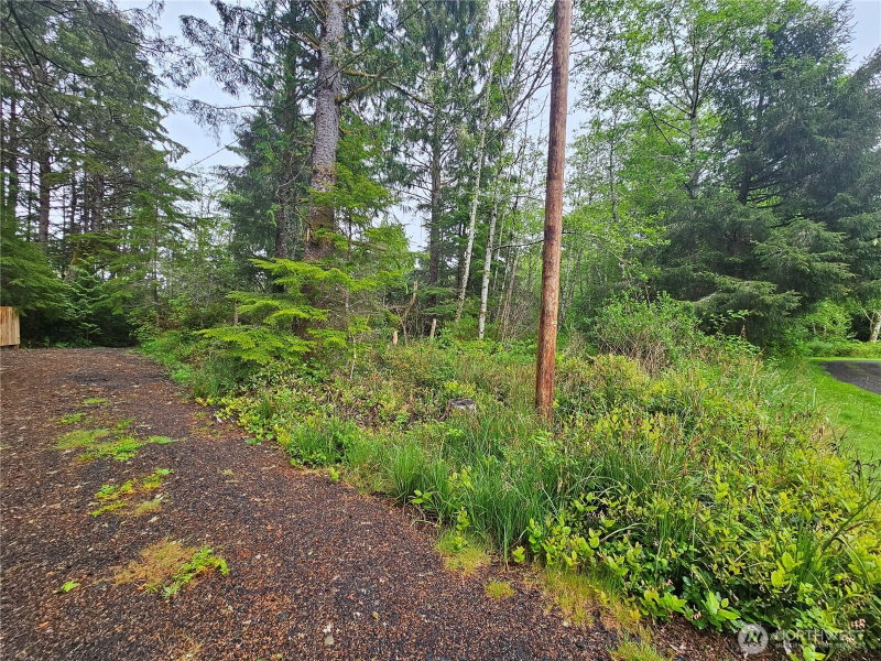 0 Patricia Drive photo 2