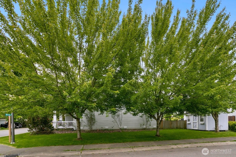 1818 190th St Ct E photo 19