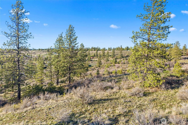 27220 Underwood Canyon photo 2