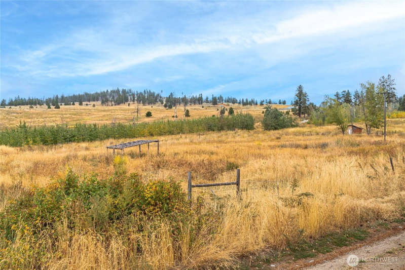 154 Knox Road photo 2