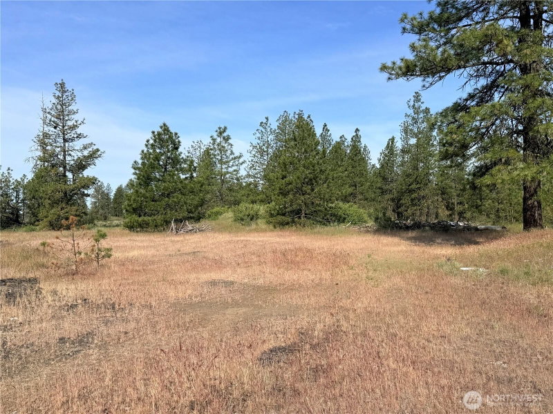 0 E Johns Rocky Way photo 17
