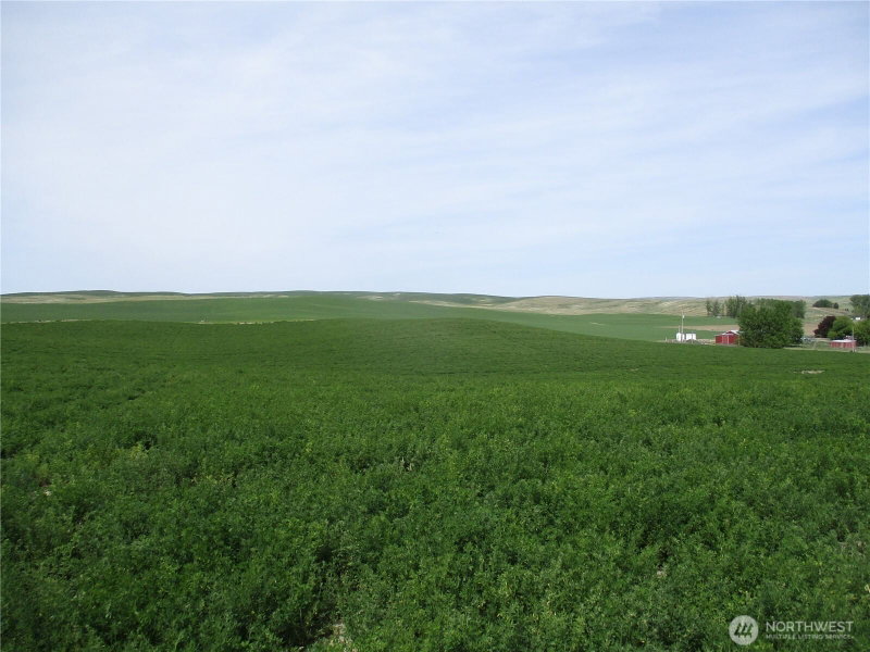 0 nka Ash Hollow Road photo 2
