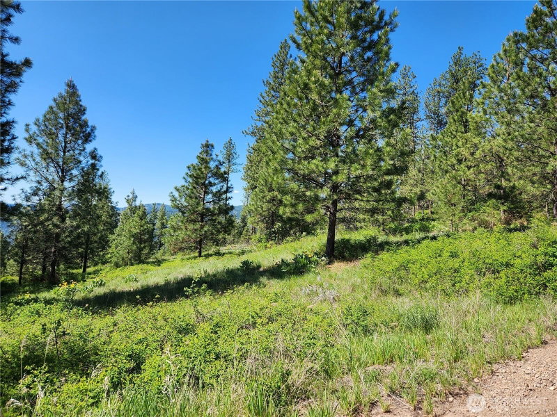 0 Gold Mountain Road photo 2