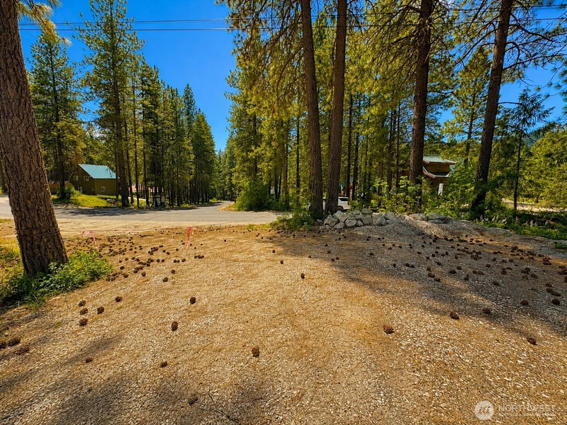 21606 Camp 12 Road photo 2