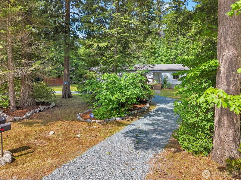 42041 Cedar Street photo 2