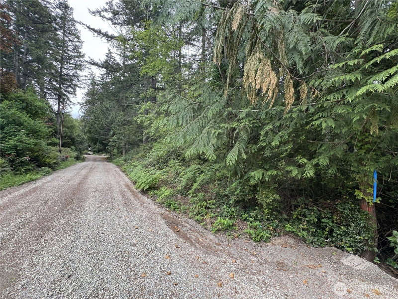 0 Moose Road photo 2
