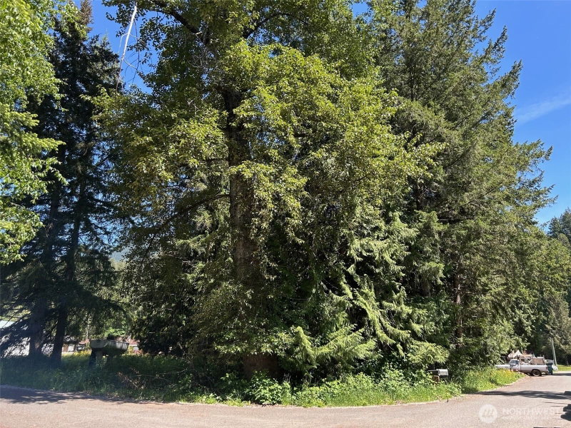 201 Morgan Lane photo 2