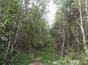 310 Oyler Road photo 5