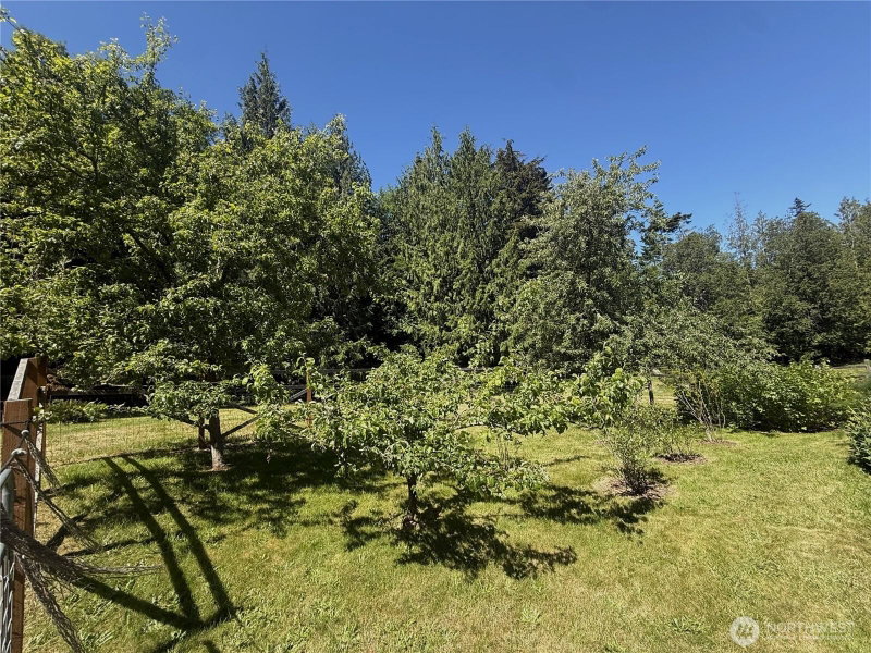 2333 Cape George Road photo 40