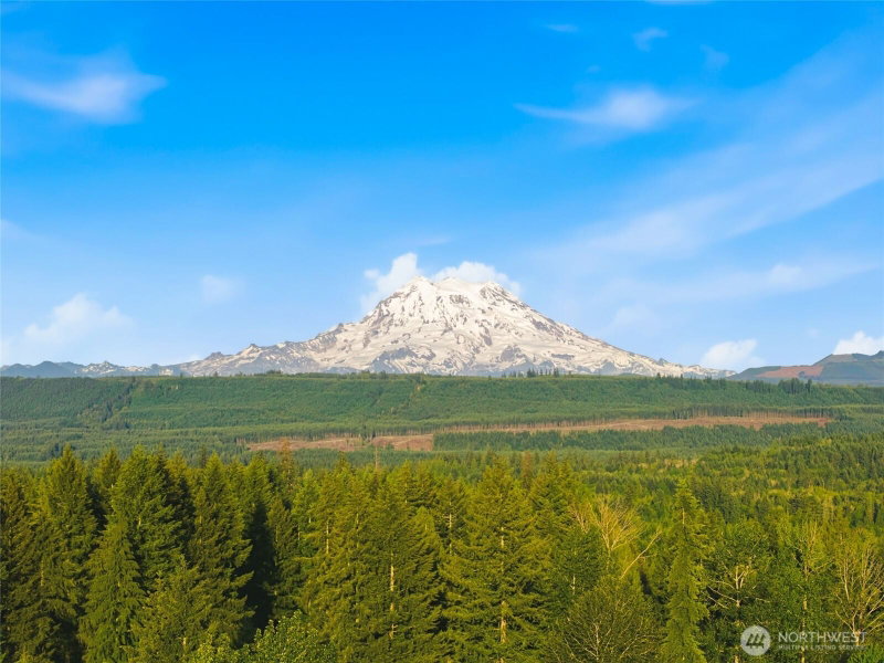 12817 Kapowsin Highlands Drive E photo 35