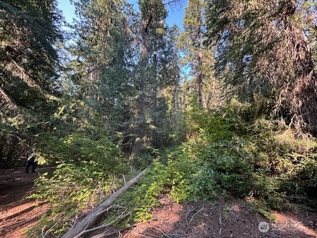 1 XX FS RD 4330 photo 17