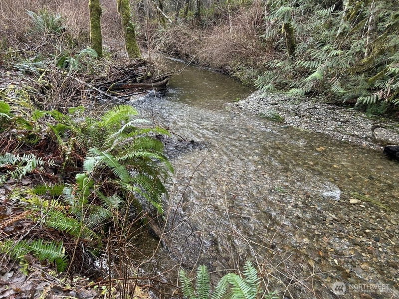 3791 NE Sandhill photo 2