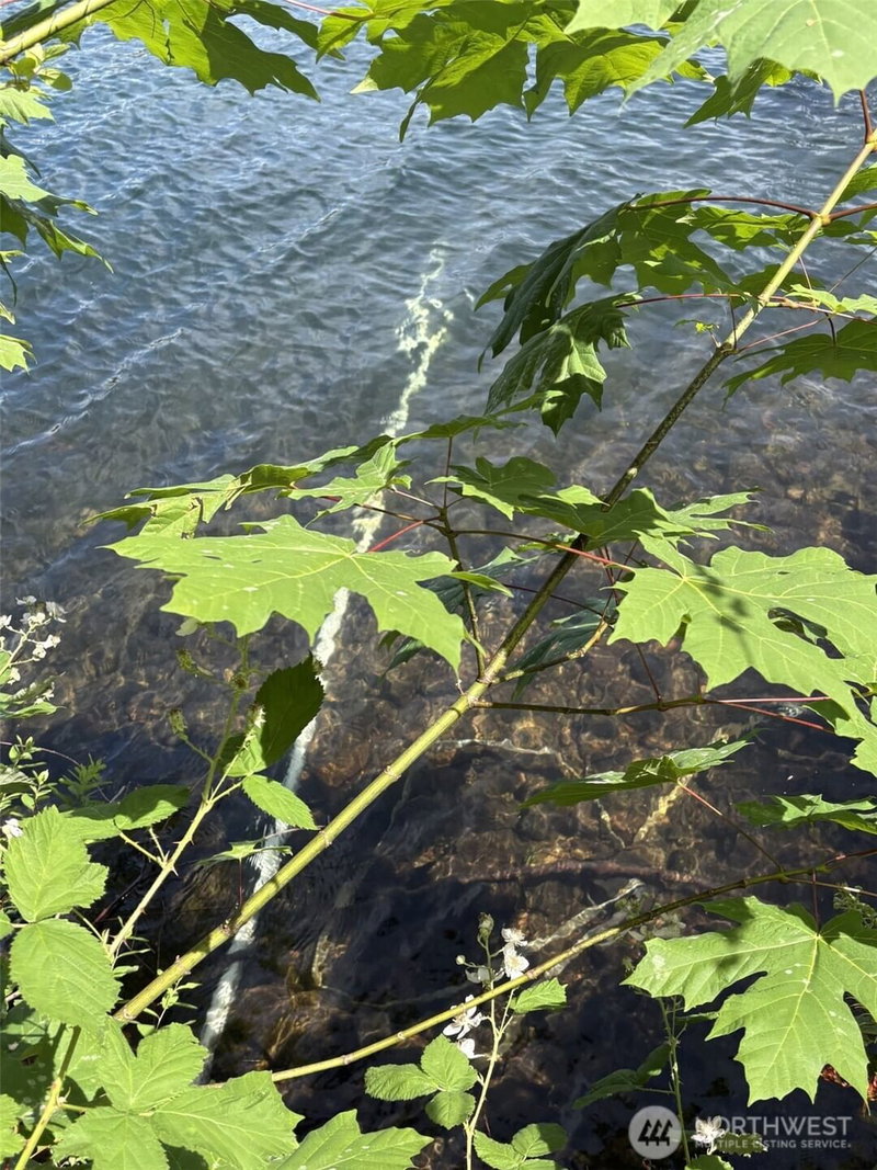 907 Summit Lake Shore Road NW photo 10