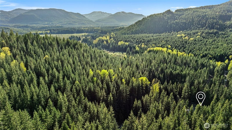 2982 Kachess Lake Road photo 34