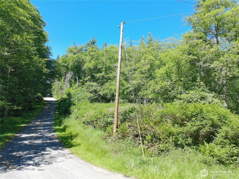 737 Twin View Drive photo 22