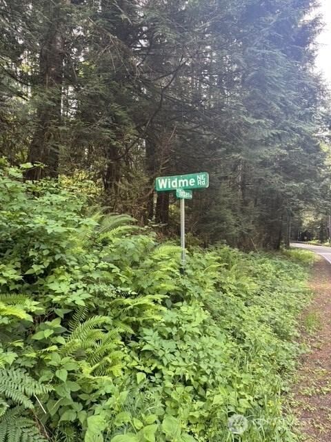 0 XX Widme Road NE photo 14