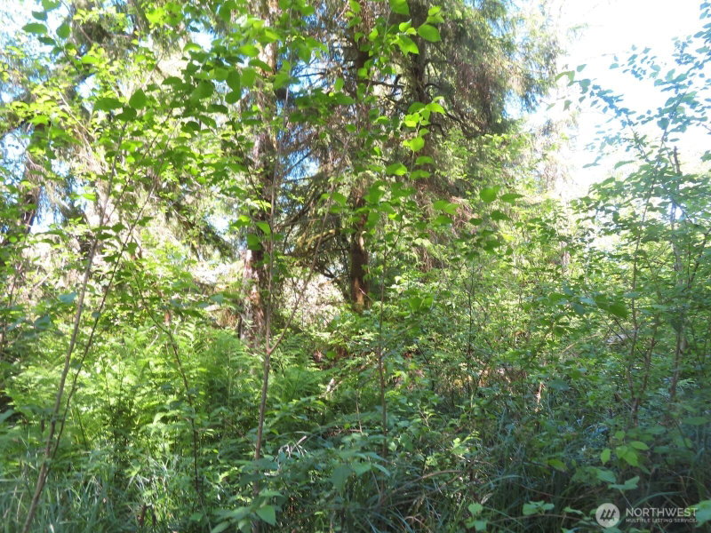 0 XXX State Route 101 photo 12