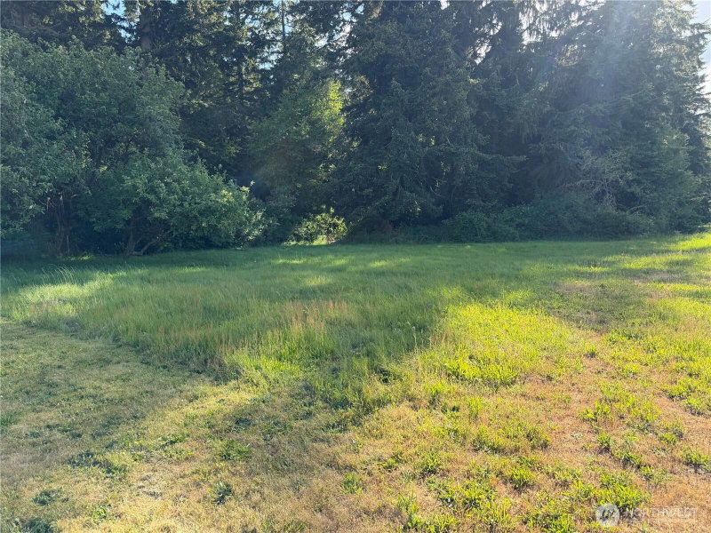 11223 Rhody Drive photo 29